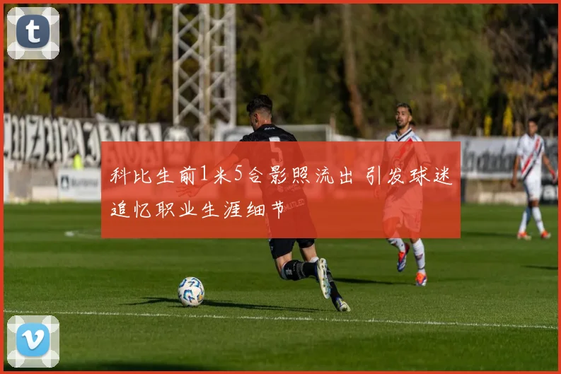 科比生前1米5合影照流出 引发球迷追忆职业生涯细节