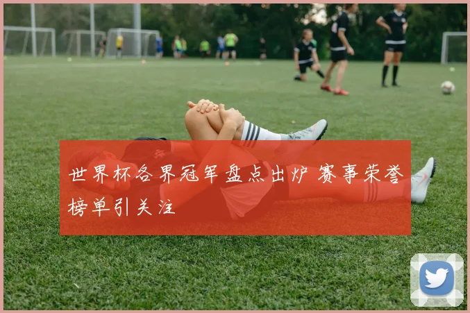 世界杯各界冠军盘点出炉 赛事荣誉榜单引关注