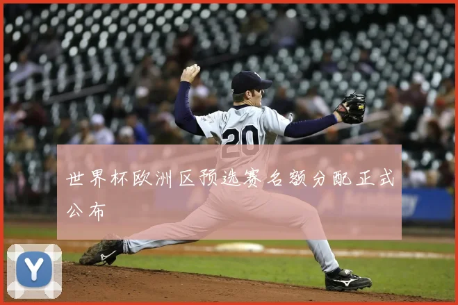 世界杯欧洲区预选赛名额分配正式公布